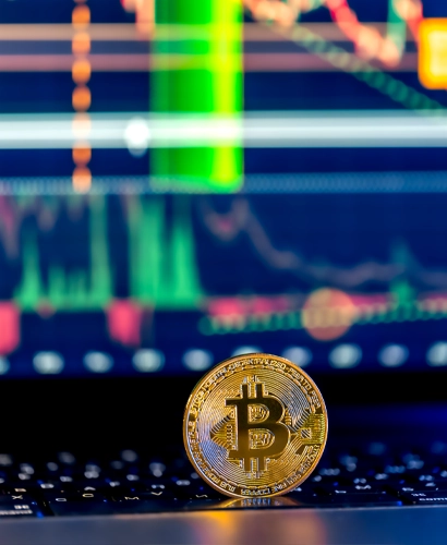 Blackrose Finbitnex Trading Informationen